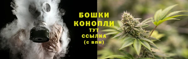 ешки Аркадак