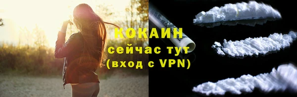 индика Армянск