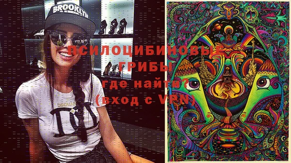 индика Армянск