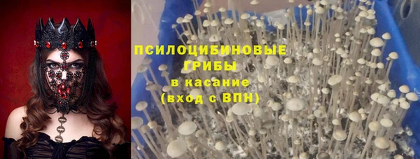 индика Армянск