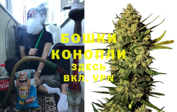 индика Армянск