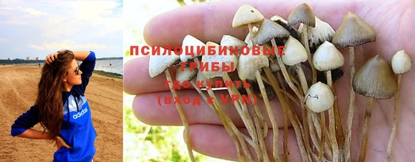 мяу мяу мука Арсеньев